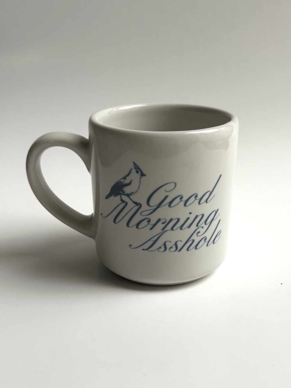 NWOT Fishs Eddy Ceramic Mug "Good Morning *******"